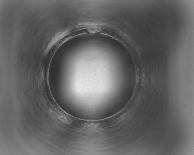 X0000077371261200610201339