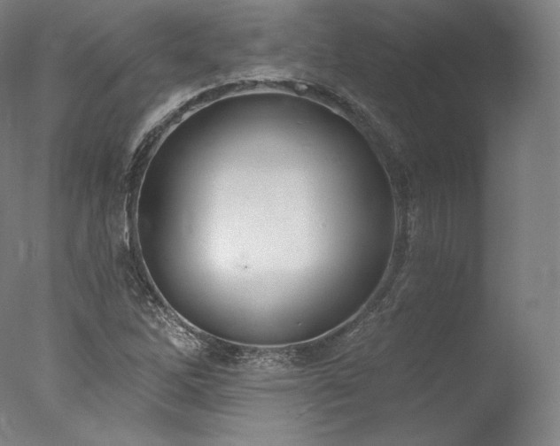 X0000077371262200610201339