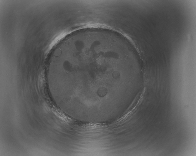 X0000077371263200610201339