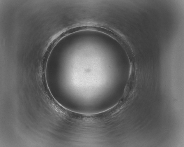 X0000077371264200610201339