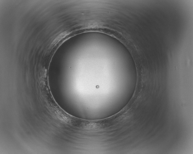 X0000077371265200610201339