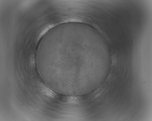 X0000077371266200610201339