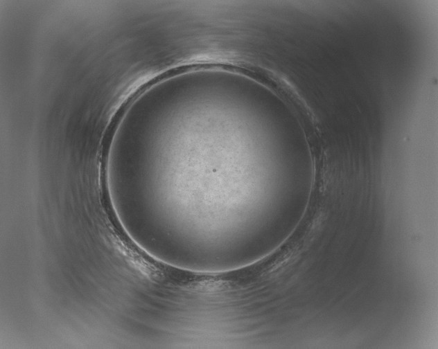 X0000077371268200610201339