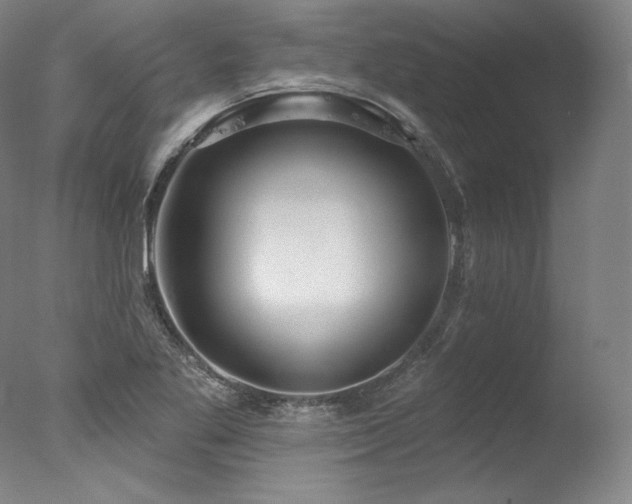 X0000077371269200610201339