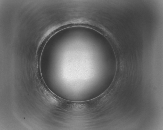 X0000077371270200610201339