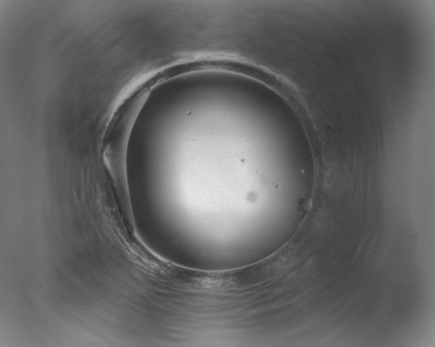 X0000077371271200610201339