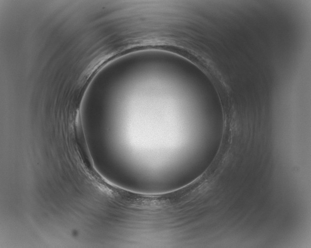 X0000077371273200610201339