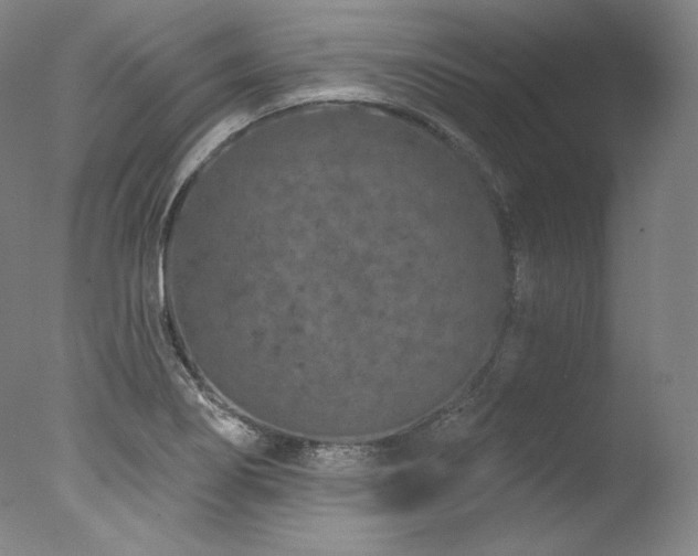 X0000077371274200610201339