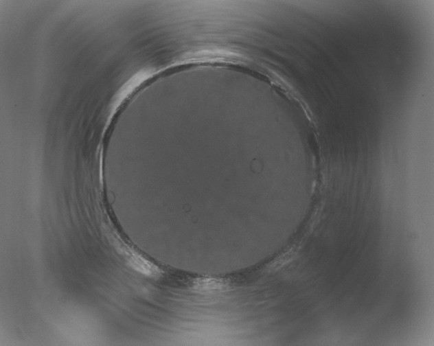 X0000077371275200610201339