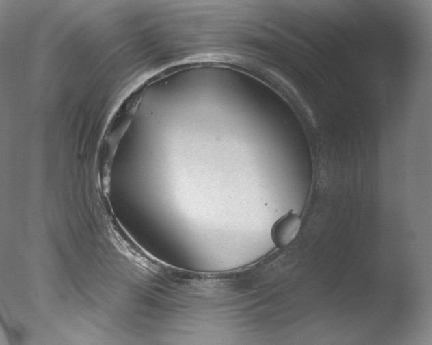 X0000077371276200610201339