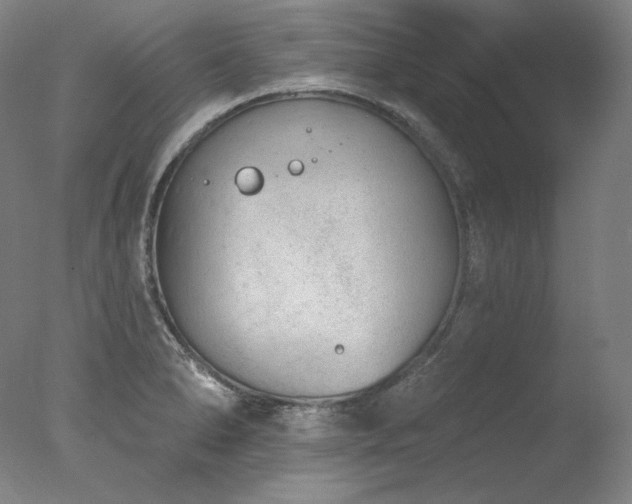 X0000077371278200610201339