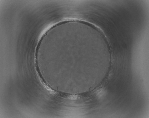 X0000077371279200610201339