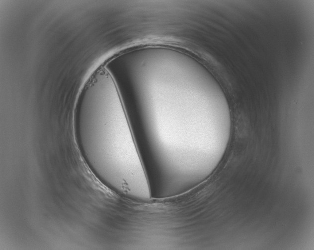 X0000077371280200610201339