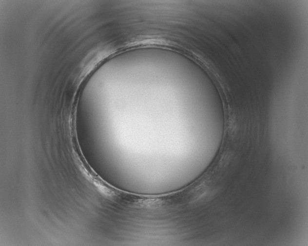 X0000077371282200610201339