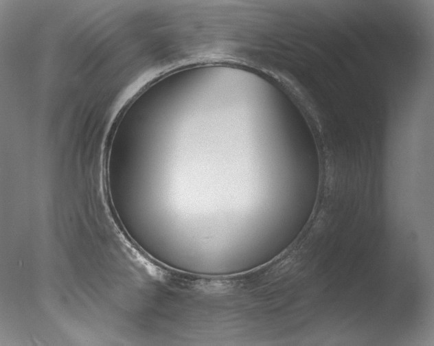 X0000077371286200610201339