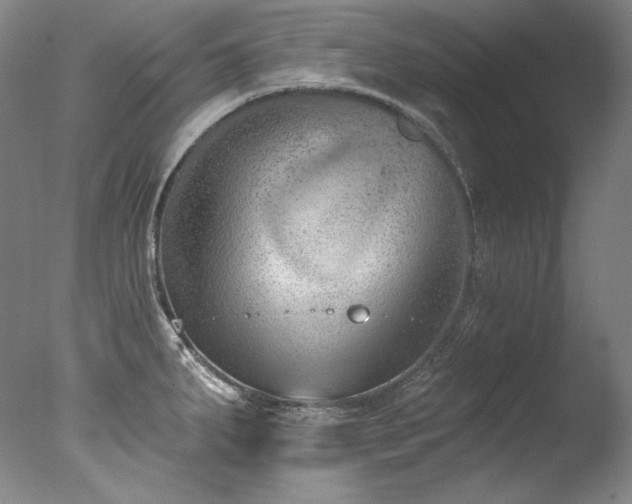 X0000077371287200610201339