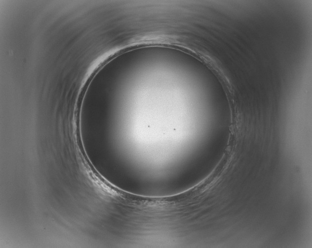 X0000077371288200610201339