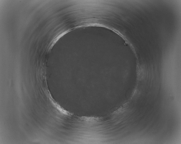 X0000077371289200610201339