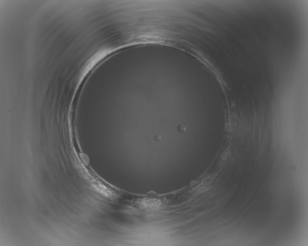 X0000077371291200610201339