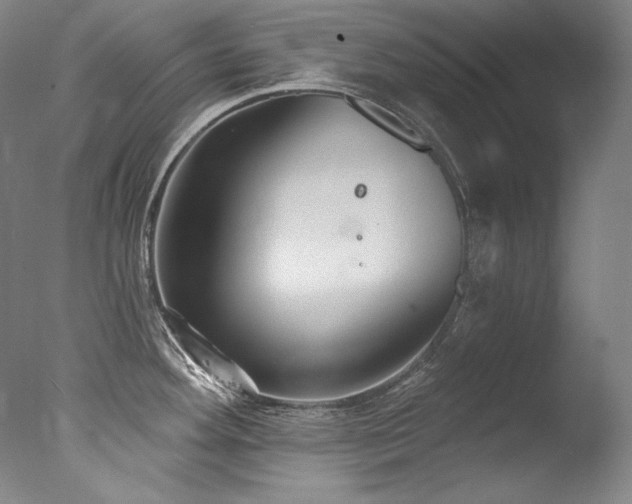 X0000077371292200610201339