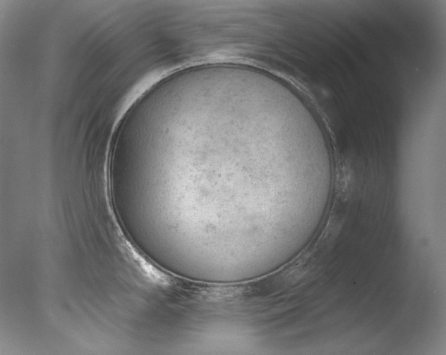 X0000077371294200610201339