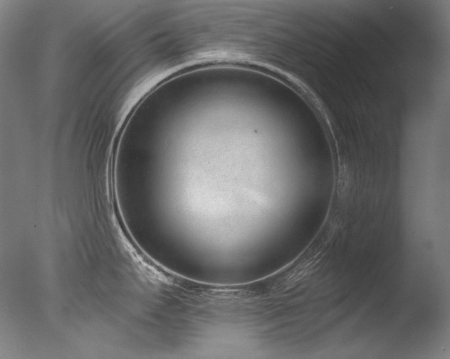 X0000077371295200610201339