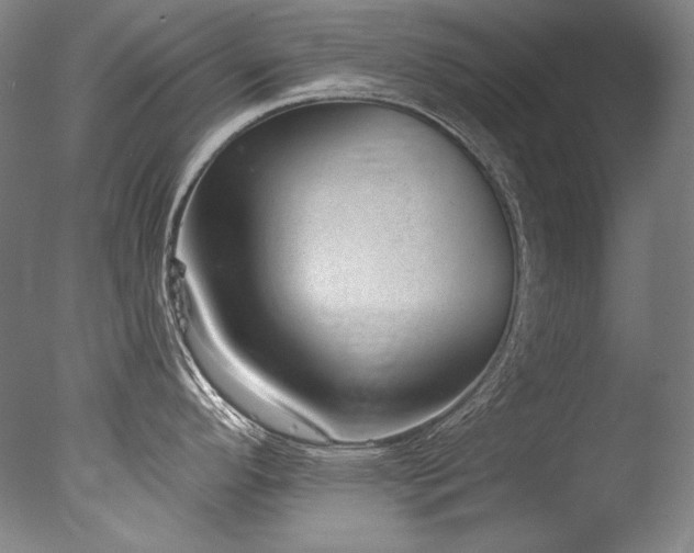 X0000077371296200610201339