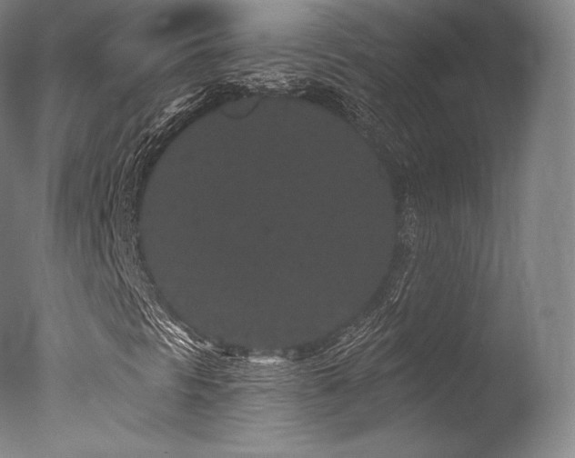 X0000077371297200610201338