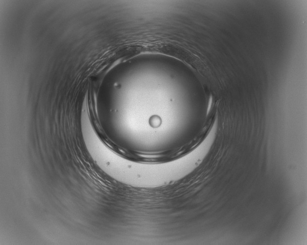 X0000077371298200610201338