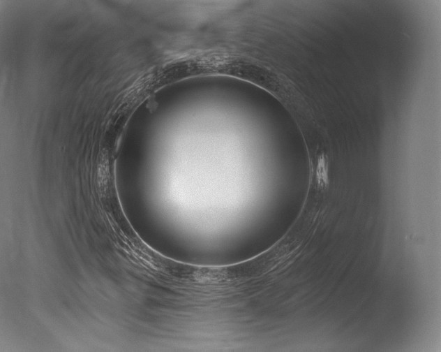 X0000077371299200610201338