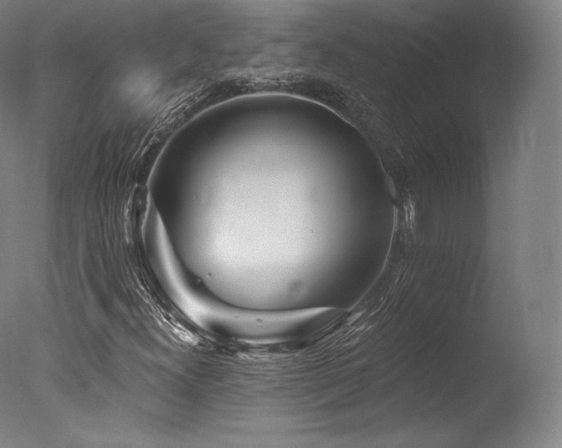 X0000077371300200610201338