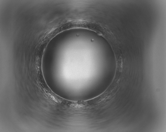 X0000077371301200610201338