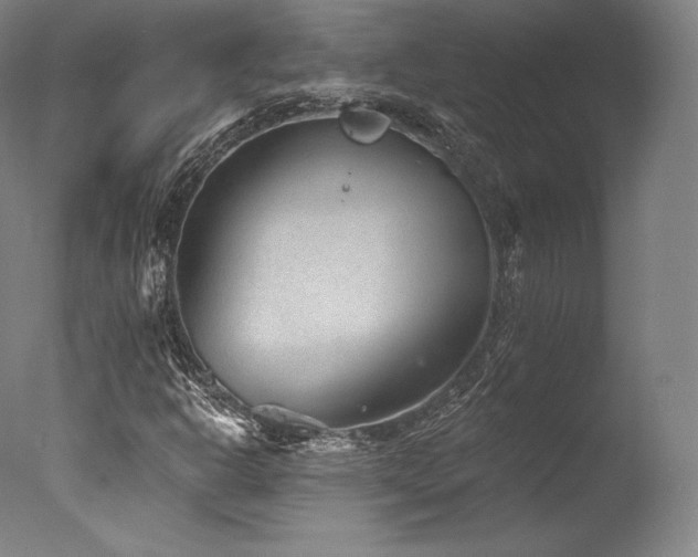 X0000077371302200610201338