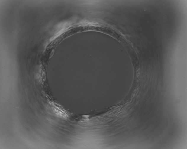 X0000077371303200610201338