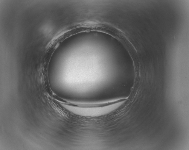 X0000077371304200610201338