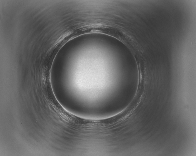 X0000077371305200610201338