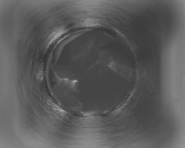 X0000077371306200610201338