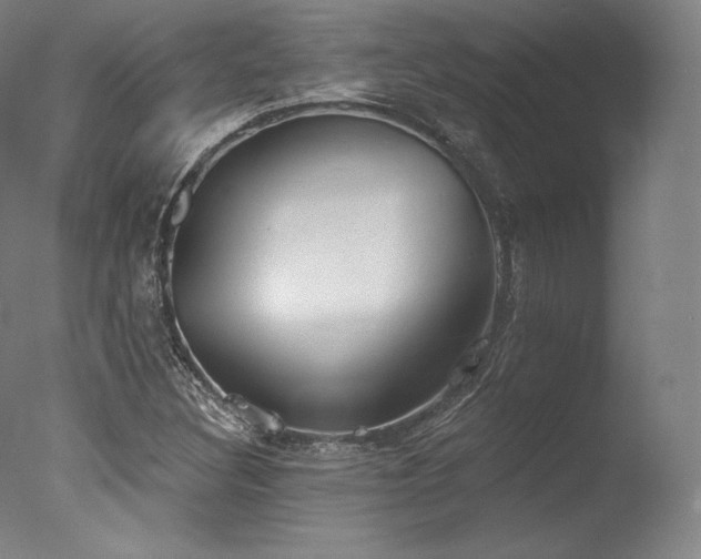 X0000077371308200610201338