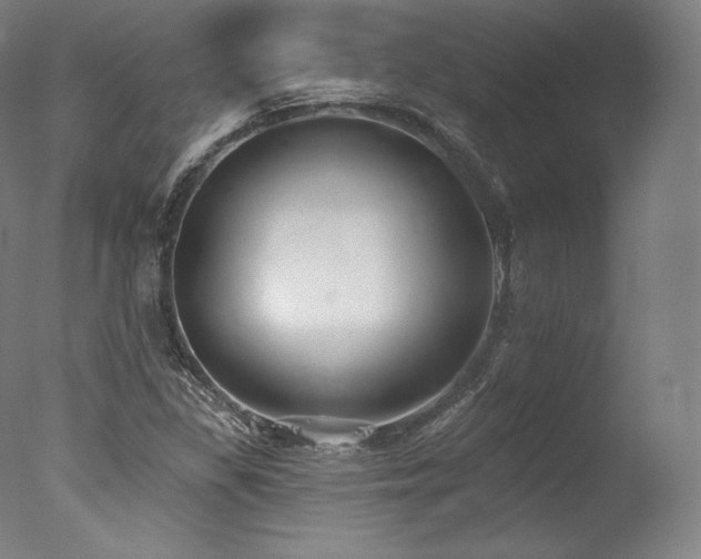 X0000077371309200610201338