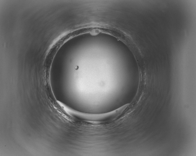 X0000077371310200610201338