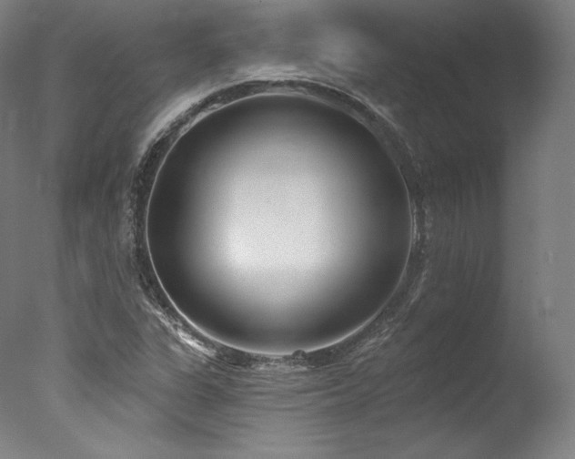 X0000077371311200610201338