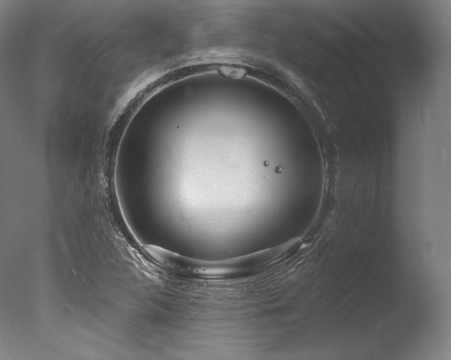 X0000077371312200610201338