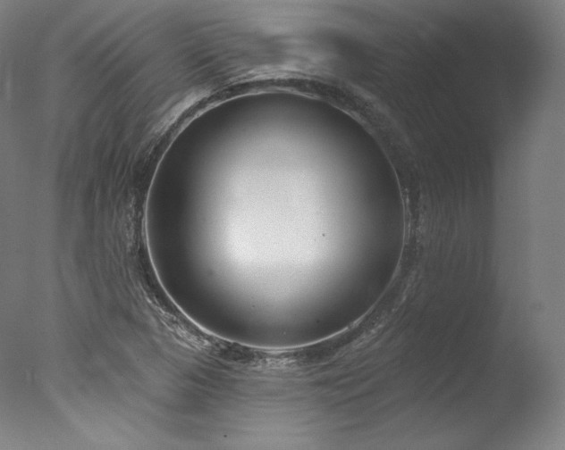 X0000077371313200610201338