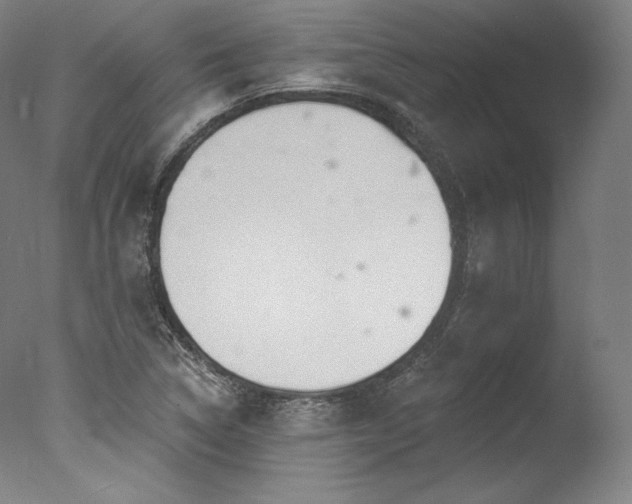 X0000077371314200610201338