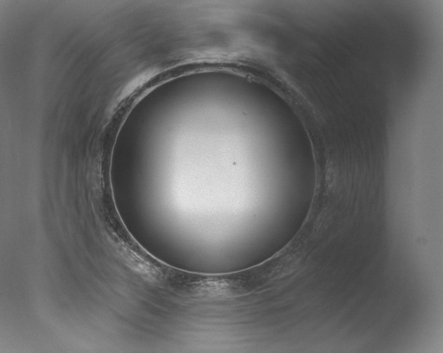 X0000077371315200610201338