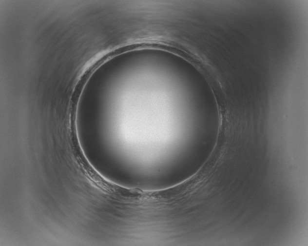 X0000077371316200610201338