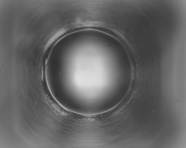 X0000077371317200610201338