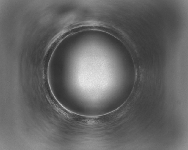 X0000077371318200610201338