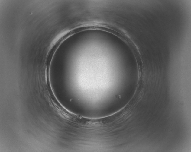 X0000077371320200610201338