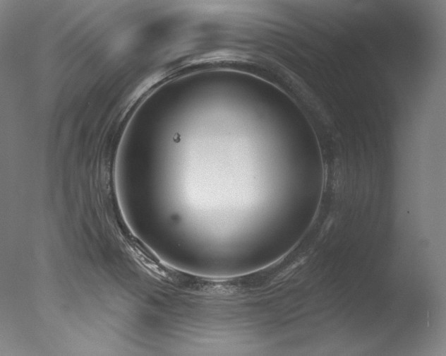 X0000077371321200610201338